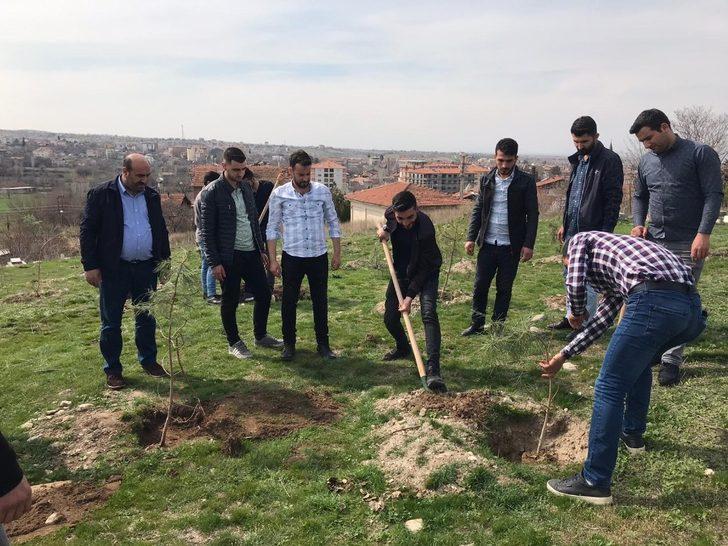 İdlib şehitleri anısına fidan dikildi G2