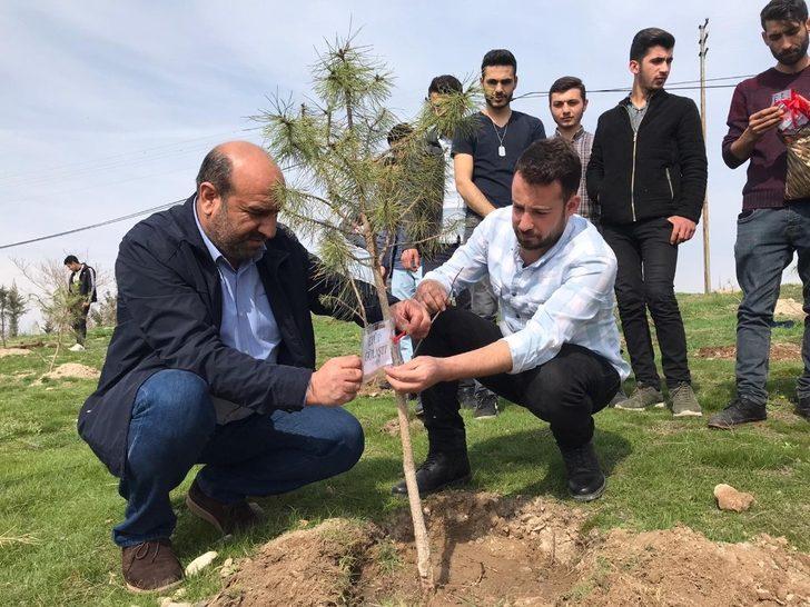 İdlib şehitleri anısına fidan dikildi G3