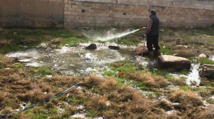 Viranşehir&rsquo;de larva ile m&uuml;cadele