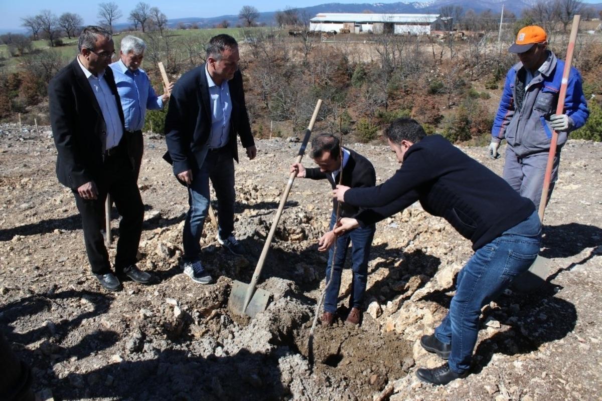 &Ccedil;&ouml;pl&uuml;k, fidanlık oldu