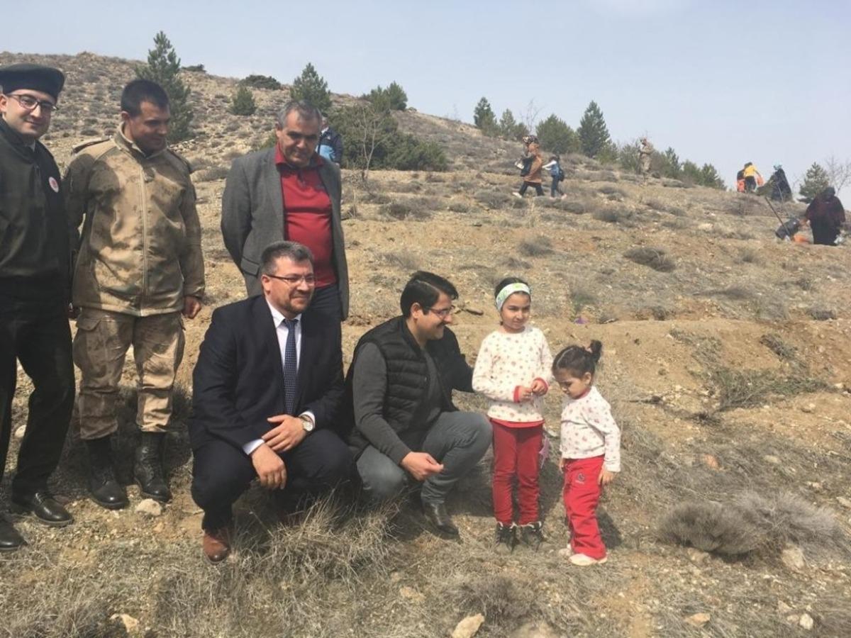 Hekimhan&rsquo;da fidanlar toprakla buluşturuldu