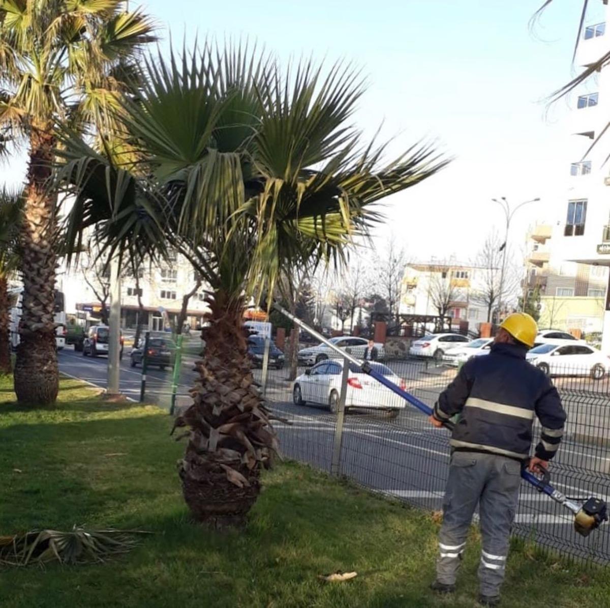 Adıyaman&rsquo;da  ağa&ccedil;lara bahar bakımı