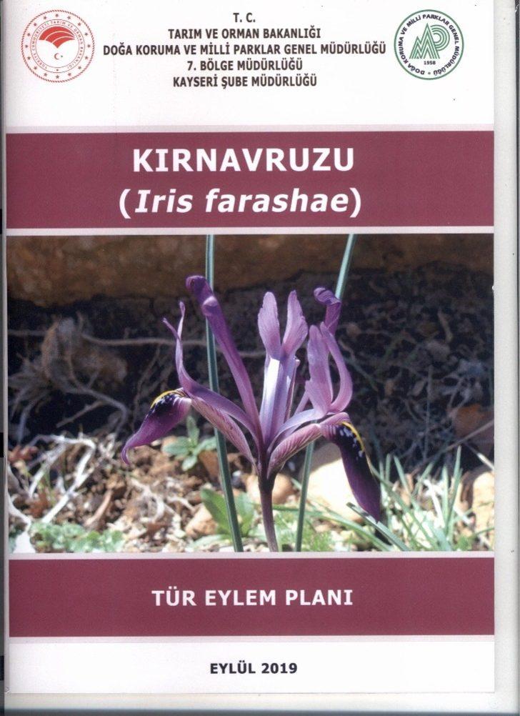 Kır navruzu görüntülendi G3