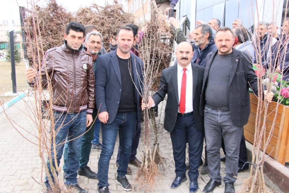 Selim Belediyesi&rsquo;nden her eve bir meyve ağacı