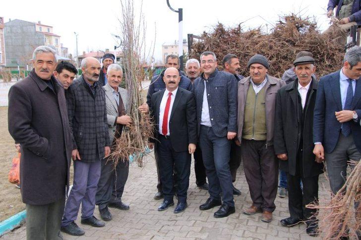 Selim Belediyesi’nden her eve bir meyve ağacı G5