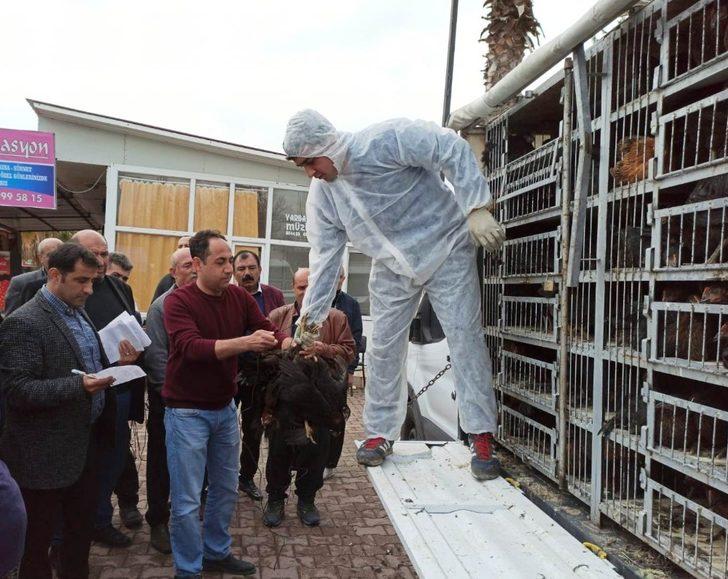 80 aileye yumurta tavuğu dağıtıldı G1