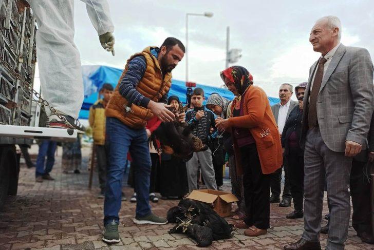 80 aileye yumurta tavuğu dağıtıldı G3