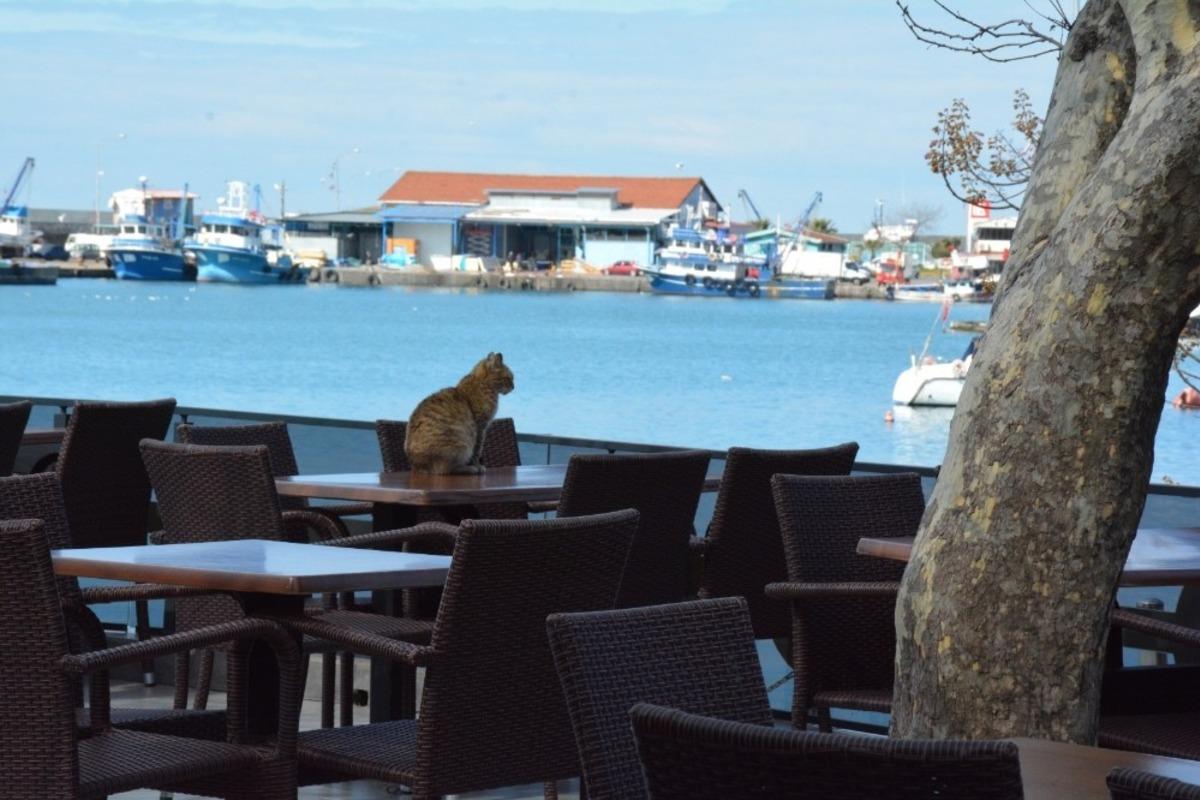 Zabıta, kapatılacak işyerlerini denetledi