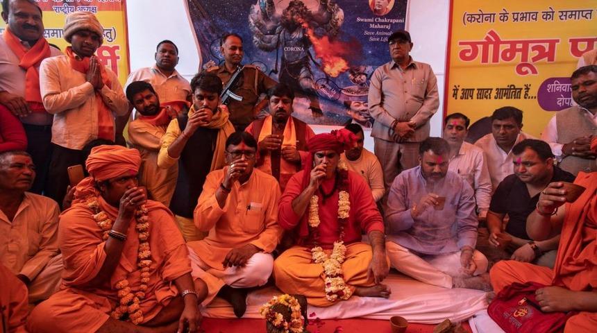 Hindistan'da koronavirüse karşı 'inek idrarı içme partisi' düzenlendi