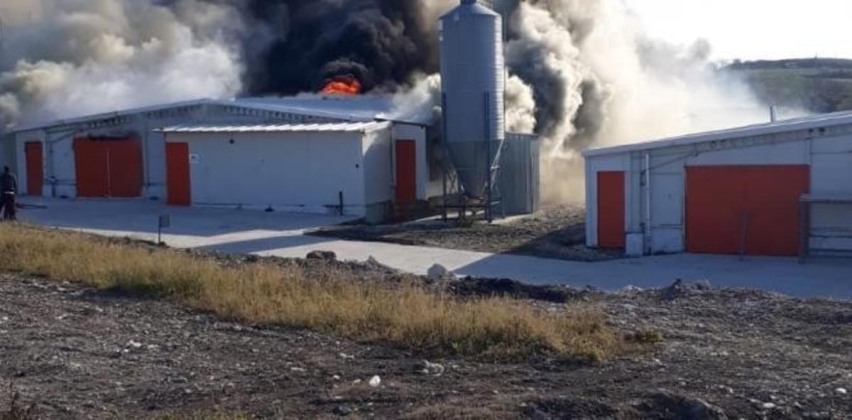 Bursa&rsquo;da tavuk tesisi alev alev yandı...