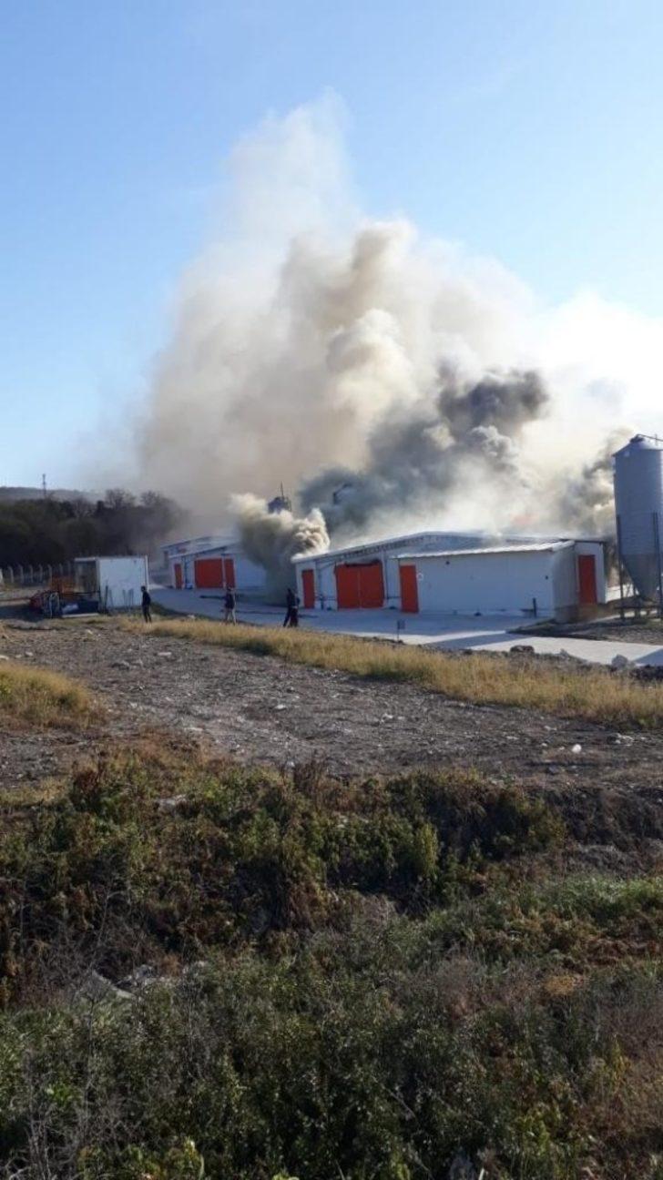 Bursa’da tavuk tesisi alev alev yandı... G2