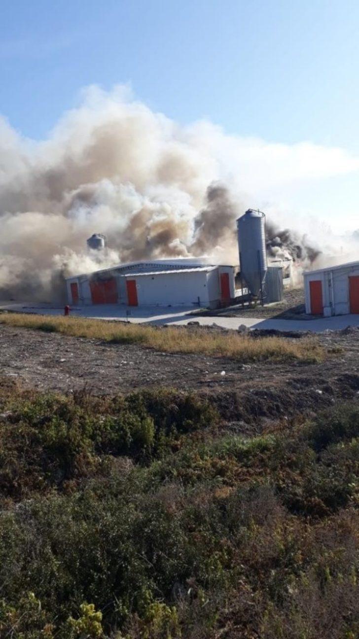 Bursa’da tavuk tesisi alev alev yandı... G3