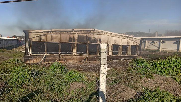 Elektrik kontağı tavukhaneyi küle çevirdi G1