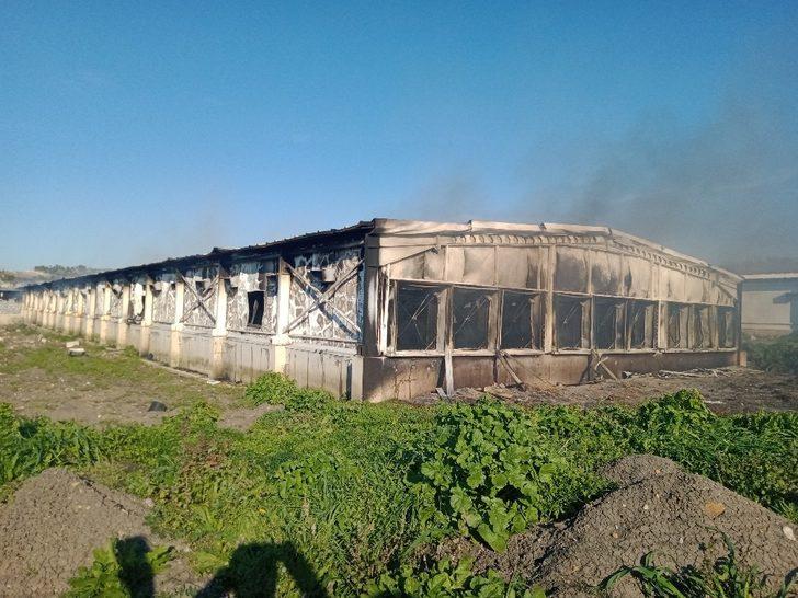 Elektrik kontağı tavukhaneyi küle çevirdi G2