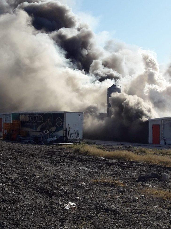 Elektrik kontağı tavukhaneyi küle çevirdi G4