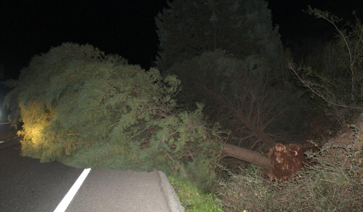 &Ccedil;evre yolunda s&uuml;r&uuml;c&uuml;ler &ouml;l&uuml;mden d&ouml;nd&uuml;