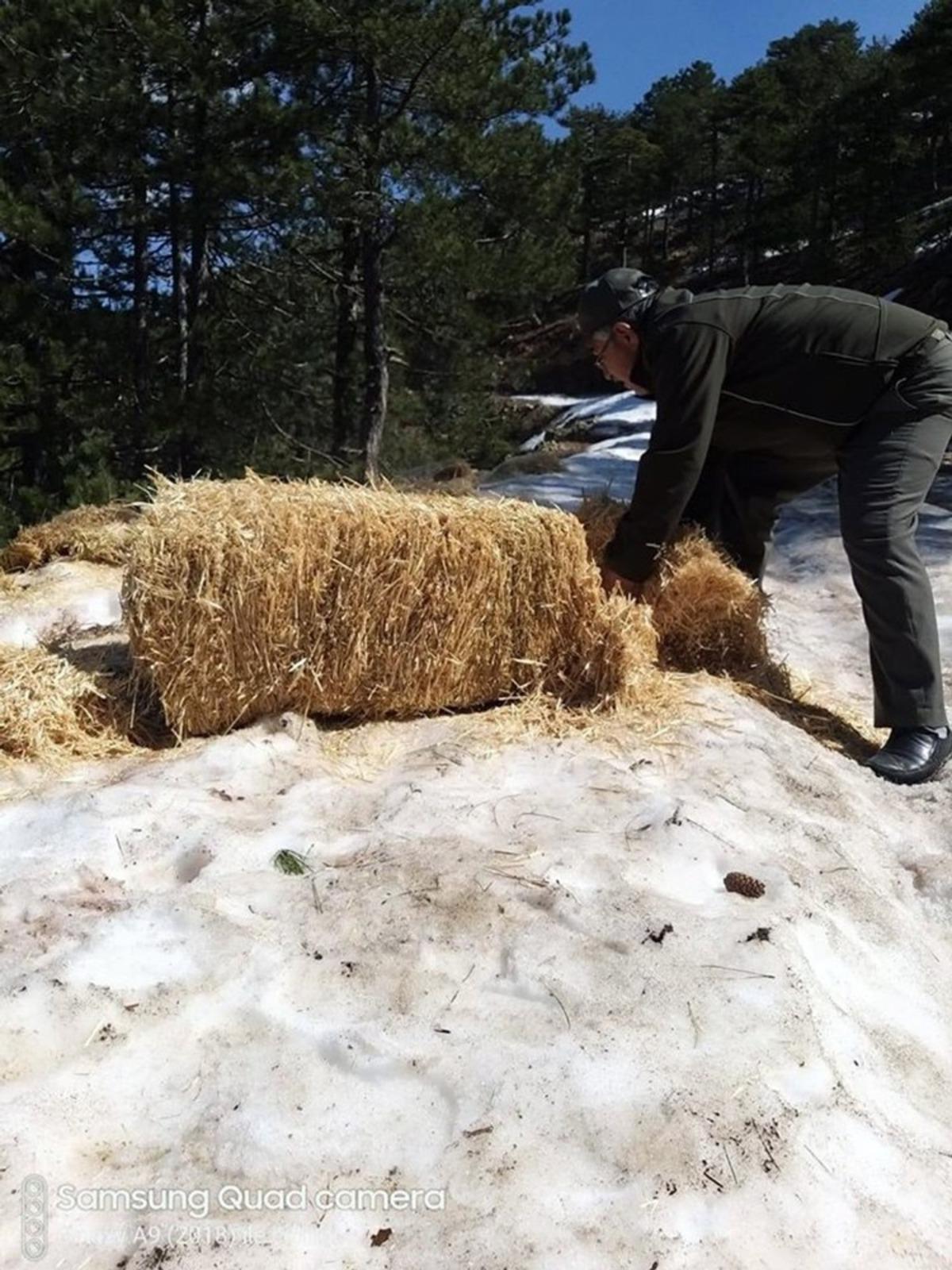 DKMP&rsquo;den yaban hayatına yem desteği