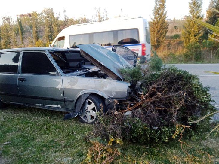 Otomobil refüjdeki ağaçları yerinden söktü G1