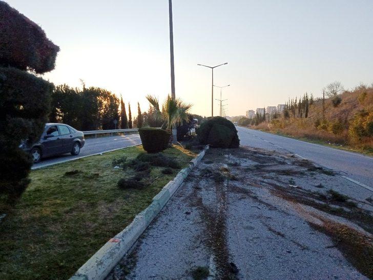 Otomobil refüjdeki ağaçları yerinden söktü G3