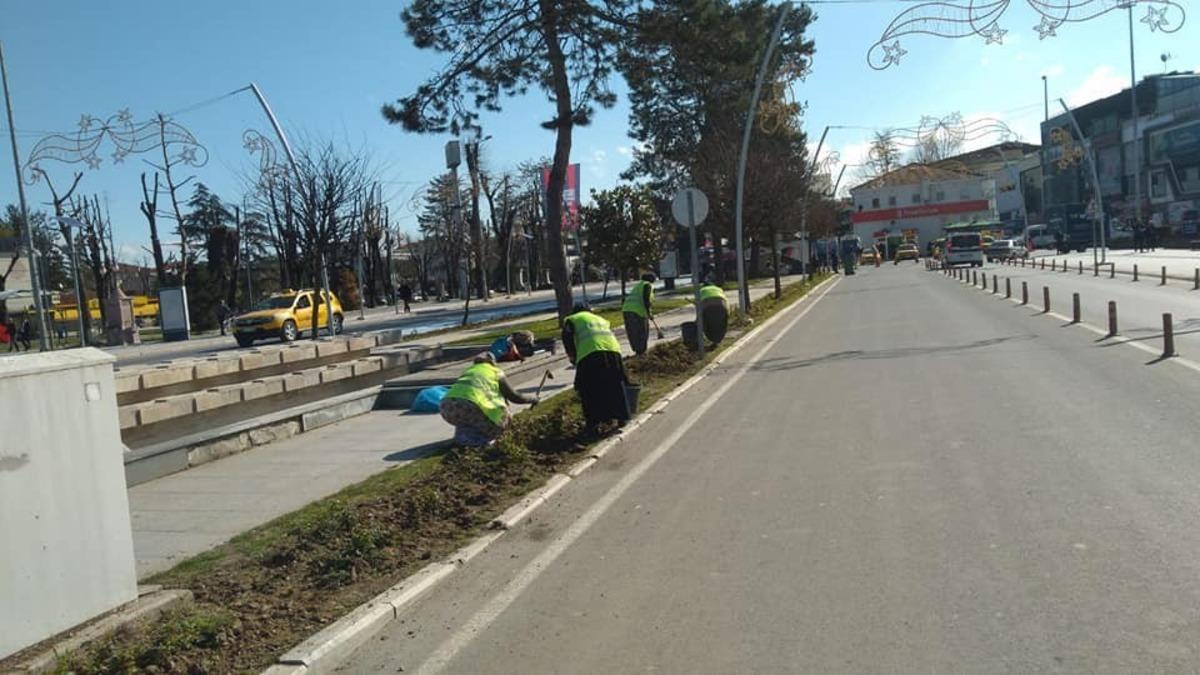 D&uuml;zce&rsquo;de yeşillendirme &ccedil;alışmaları s&uuml;r&uuml;yor