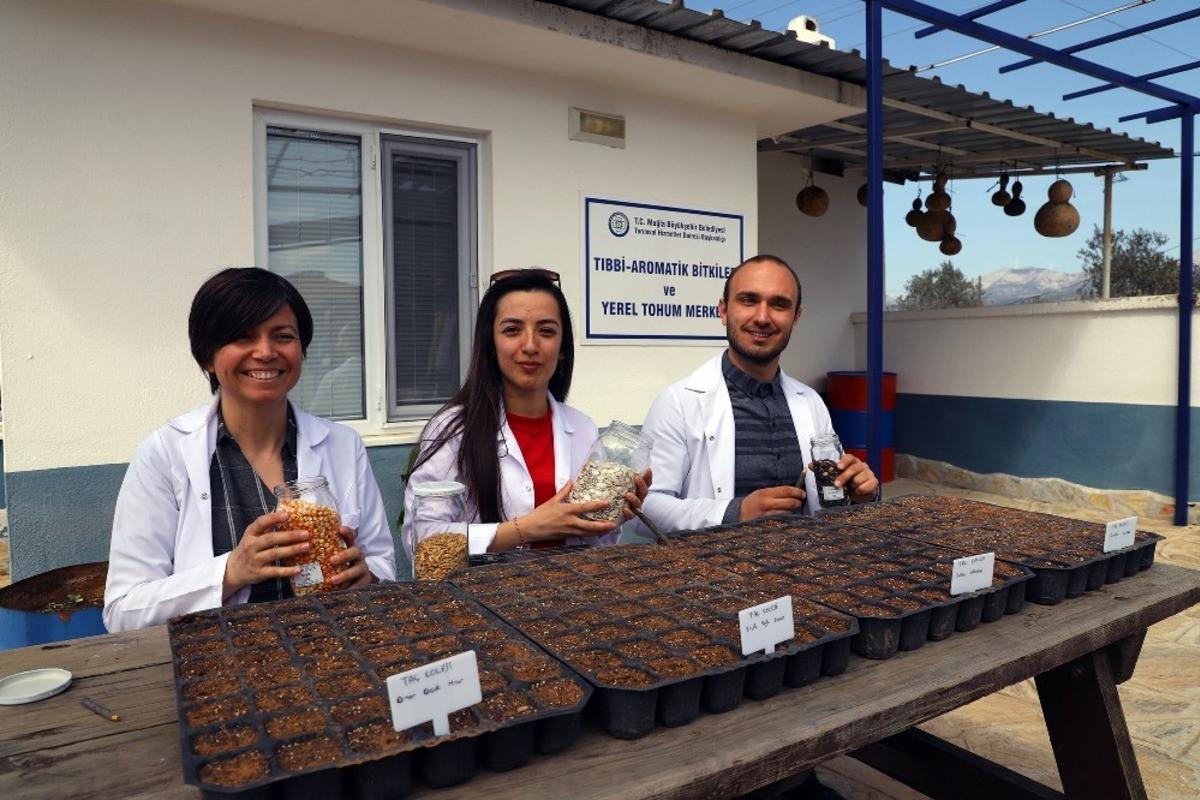 Okulların yerel tohumu Muğla B&uuml;y&uuml;kşehirden