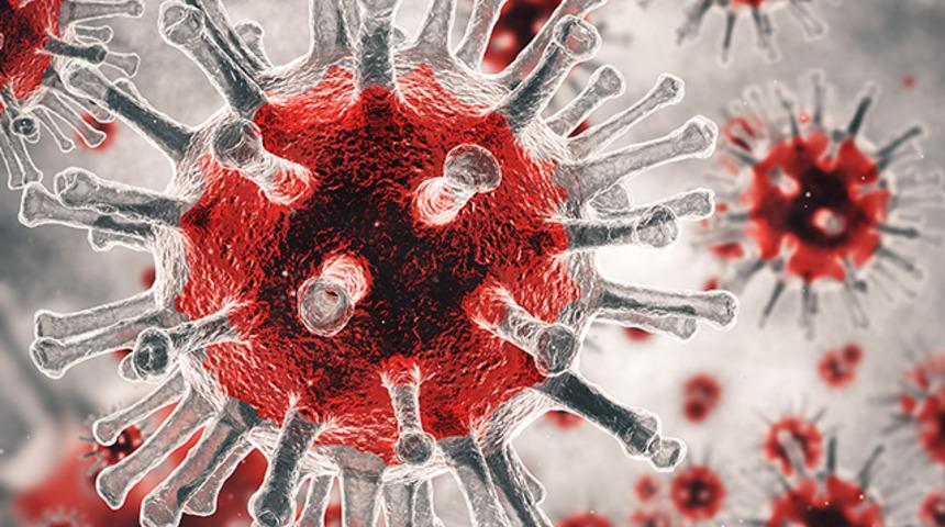 Koronavir&uuml;s&uuml;n filmi geliyor!