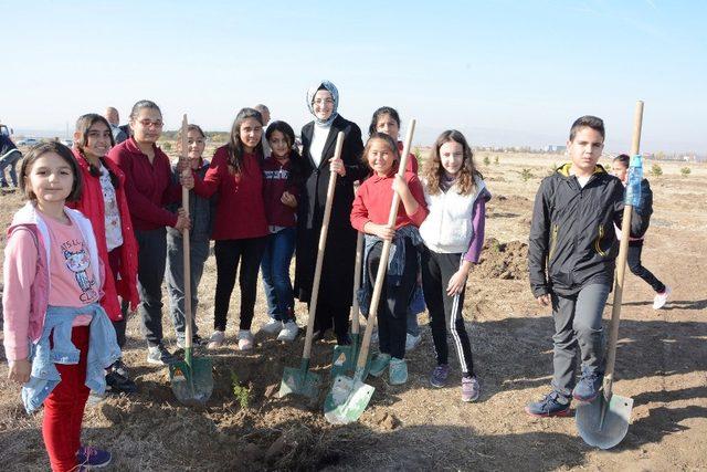 Akyurt’ta her can için bir fidan dikilecek