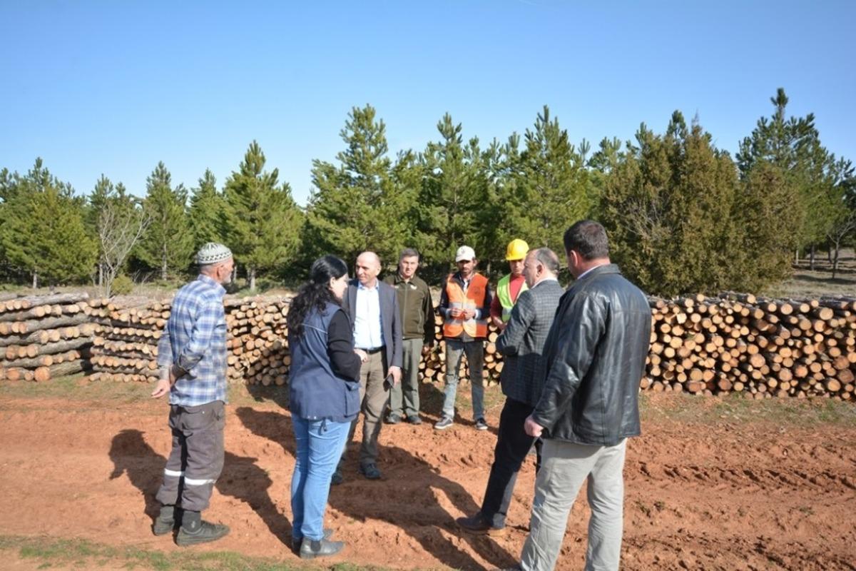 Ormanda gen&ccedil;leştirme &ccedil;alışması