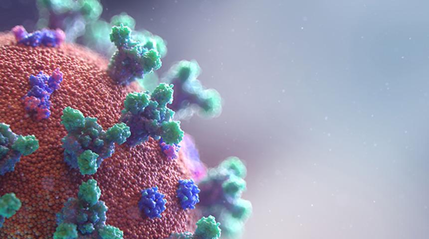 Uzmanlar yanıtladı: Koronavir&uuml;s laboratuvarda mı &uuml;retildi? 