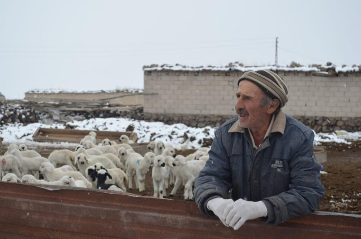 &Ccedil;obanların soğuk havada &rsquo;Kuzu&rsquo; n&ouml;beti