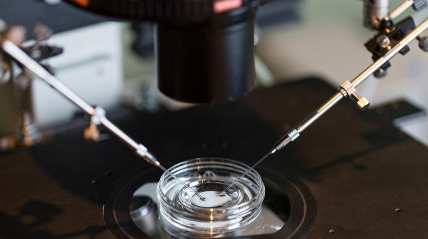 Hidrosalpinks t&uuml;p bebek sonu&ccedil;larını nasıl etkiler?