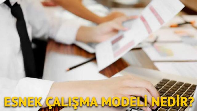 esnek çalışma modeli nedir