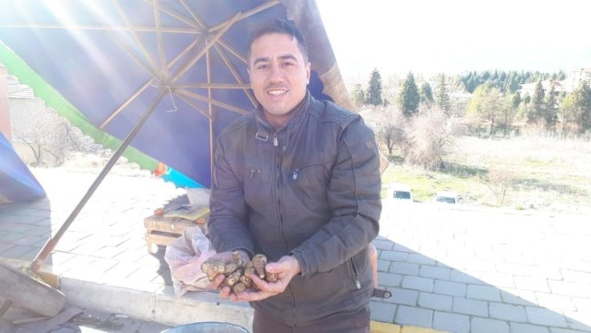 Bağışıklık sistemini g&uuml;&ccedil;lendiren yer elması ilgi g&ouml;r&uuml;yor