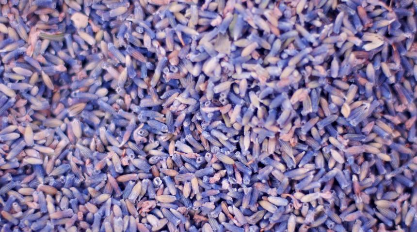 Koronavirüse karşı tıbbi aromatik bitkilerden destek alın