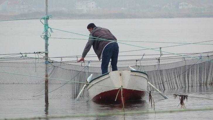Binlerce yıllık yöntemle günde 1 ton balık yakalıyorlar G4
