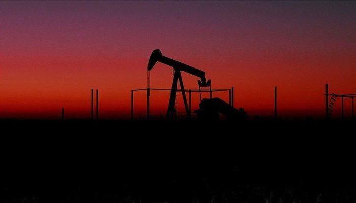 Rusya'dan doğal gaz ve petrol uyarısı: 'Piyasa çöker'
