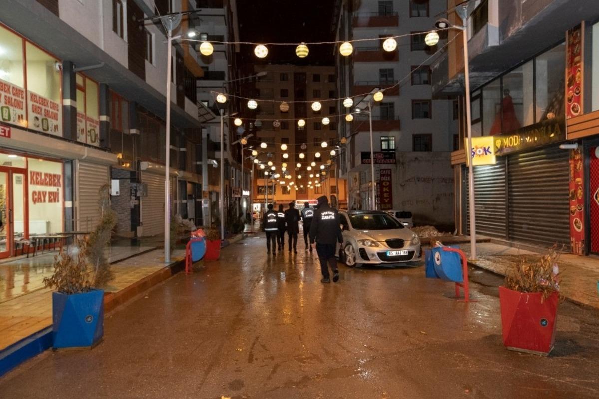 Van&rsquo;da korona vir&uuml;s denetimi