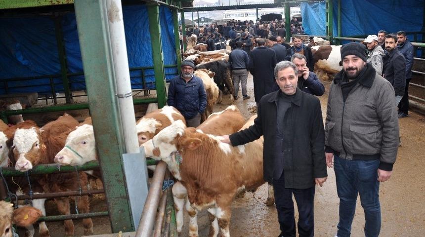 Malatya Hayvan Pazarı kapatıldı