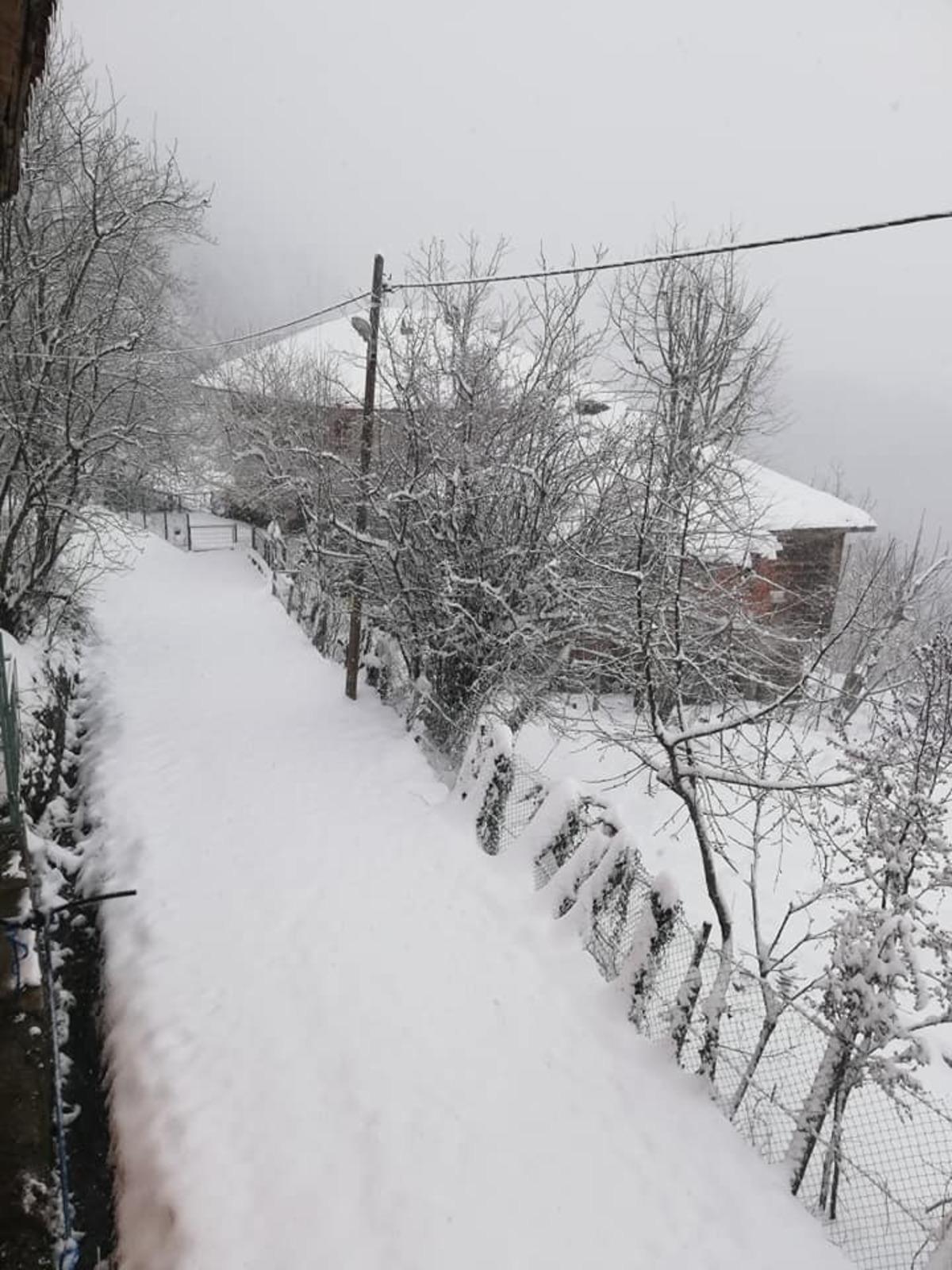 Karab&uuml;k baharda yağan karla beyaza b&uuml;r&uuml;nd&uuml;