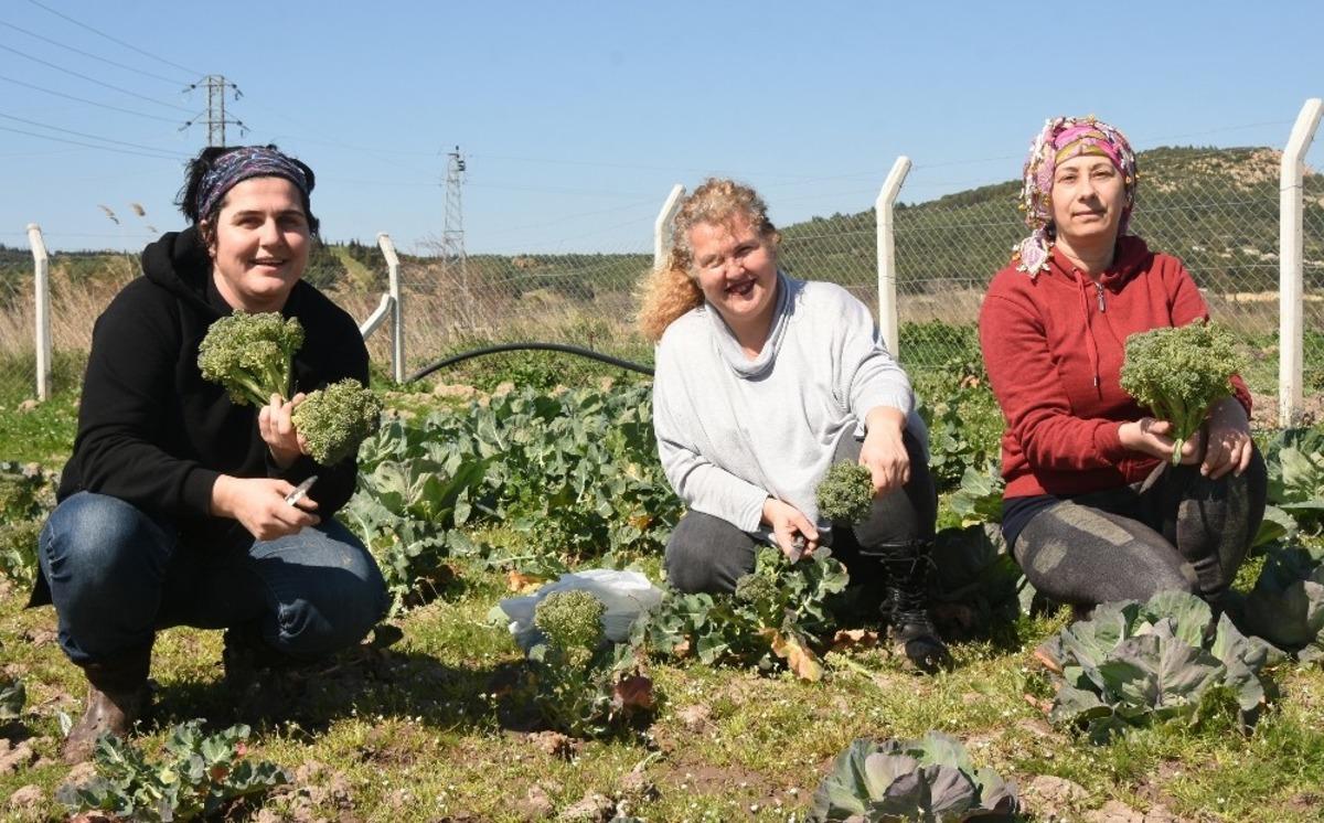 Aliağalı kadın &ccedil;ift&ccedil;ilerden ilk hasat