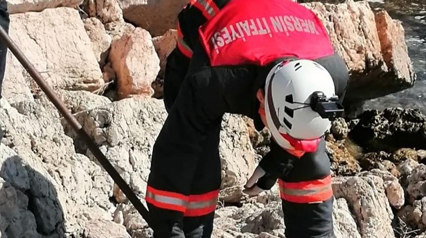 Kafası bidonun ağzına sıkışan k&ouml;pek itfaiye ekibince kurtarıldı