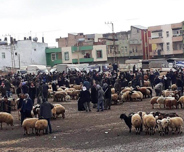 Viranşehir’de hayvan pazarı kapatıldı