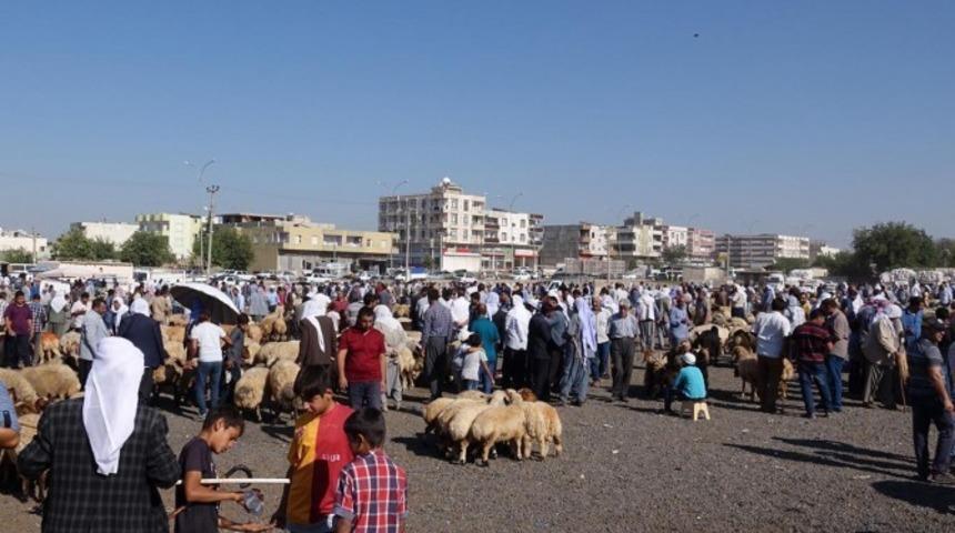 Viranşehir&rsquo;de hayvan pazarı kapatıldı