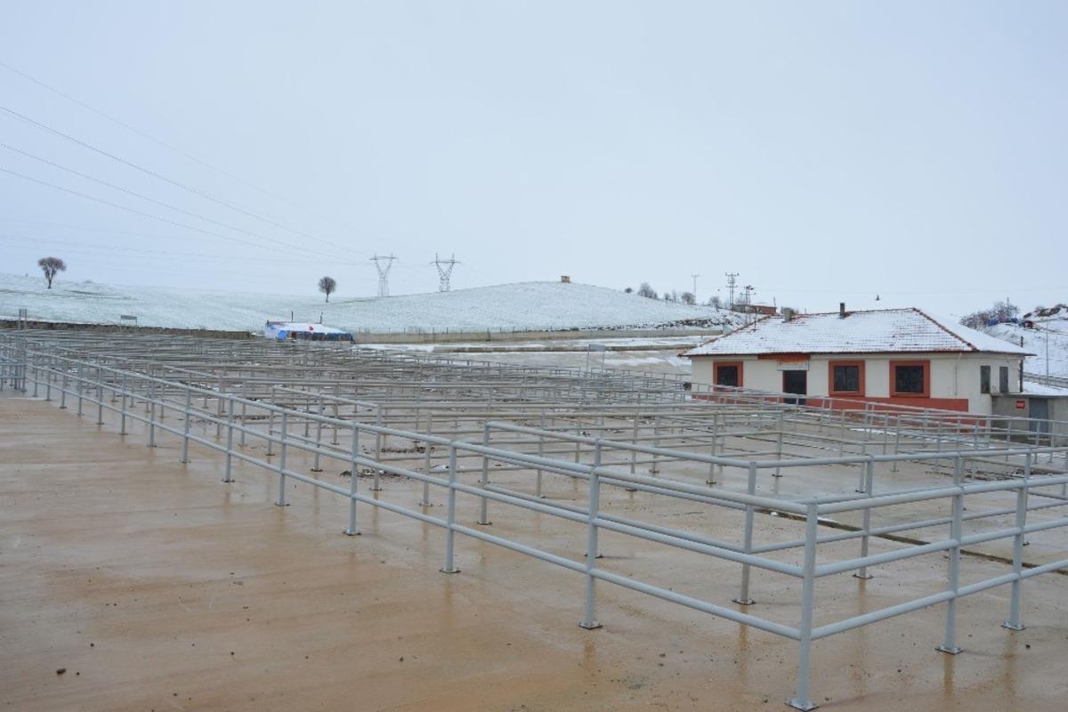 Havza Canlı Hayvan Pazarı ge&ccedil;ici s&uuml;re ile kapatıldı