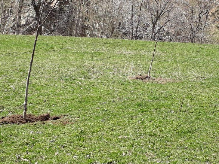 Sason’da kapama ceviz bahçesi almayı hak kazanan çiftçiler kura ile belirlendi G2