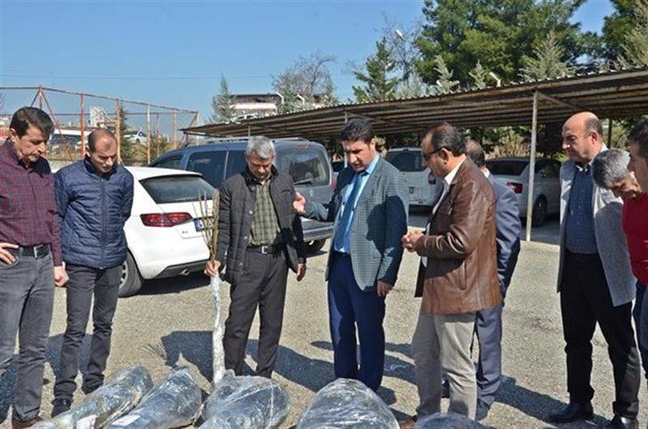 Sason’da kapama ceviz bahçesi almayı hak kazanan çiftçiler kura ile belirlendi G3