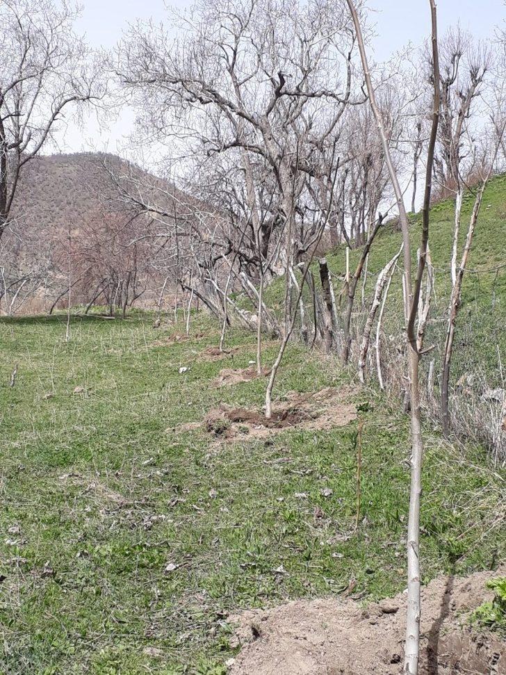 Sason’da kapama ceviz bahçesi almayı hak kazanan çiftçiler kura ile belirlendi G4