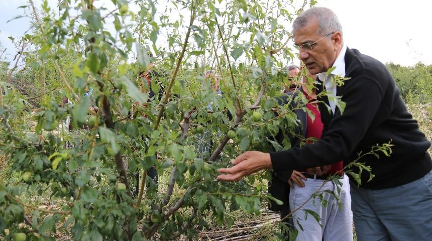 Tarhan, afetzede &uuml;reticiler i&ccedil;in destek istedi