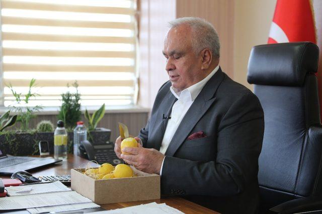 Başkan Tollu’dan ’limon tüketin’ çağrısı