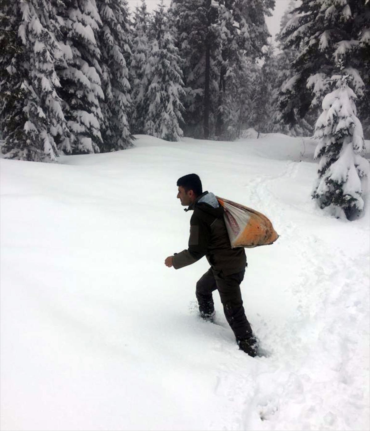 Giresun'da kar yağışının etkili olduğu b&ouml;lgelere yaban hayvanları i&ccedil;in yem bırakıldı